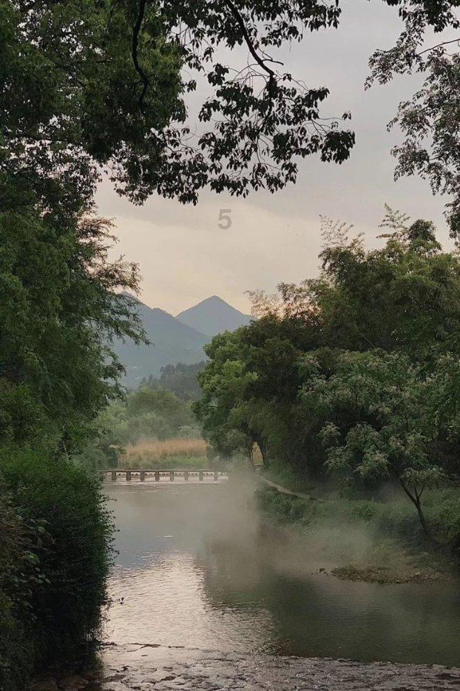 学习插花艺术